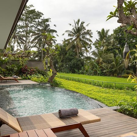 Alas Harum Villas By Inara Payangan Exteriör bild